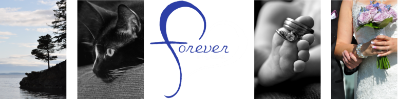 Forever by Sarah